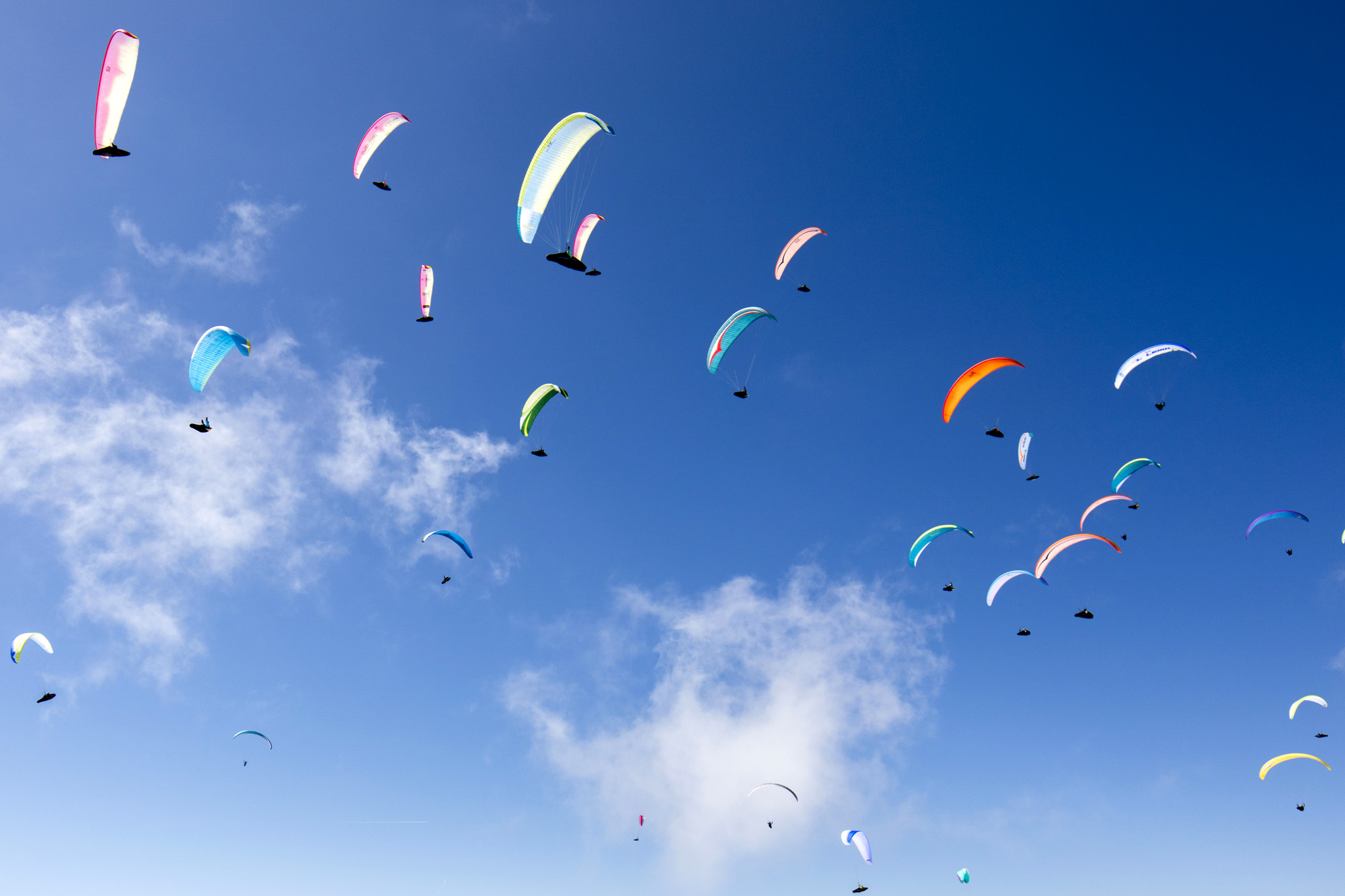 Paragliding And Paramotor Simile